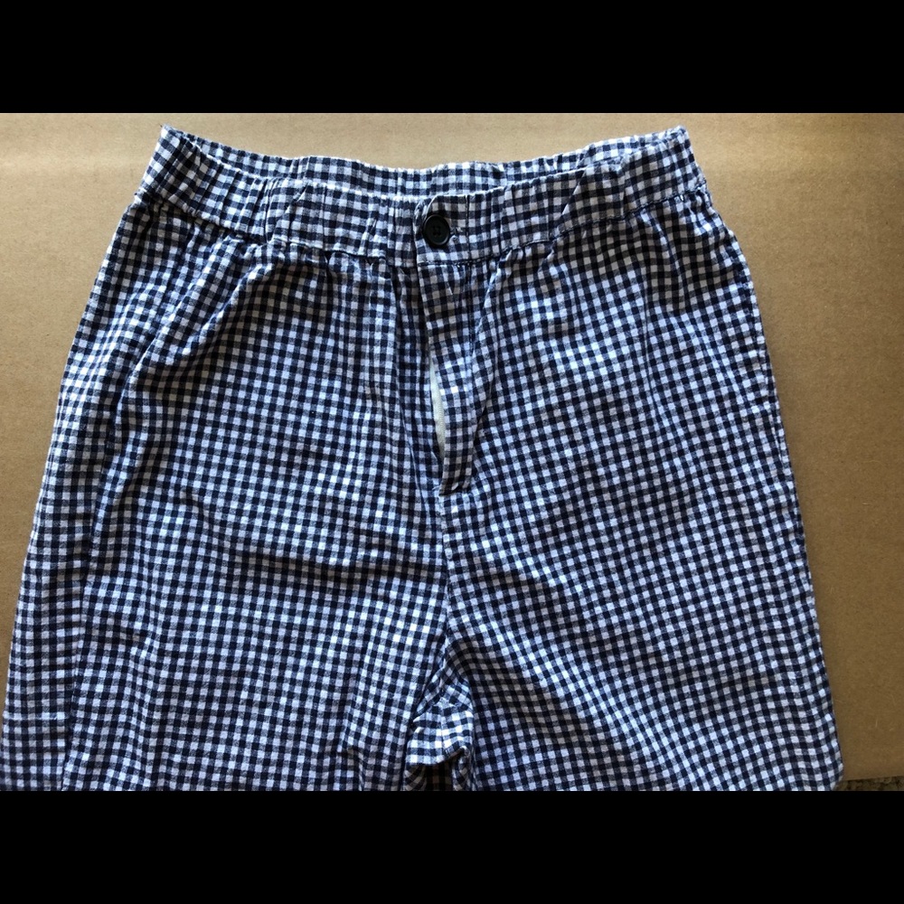 Brandy Melville Checkered Blue Pants